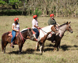 The Original Canopy Tour - Horseback riding Tour